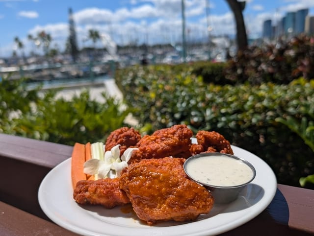 Wings.